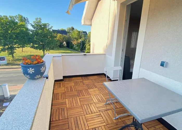 Проживание в семье Blue Max *